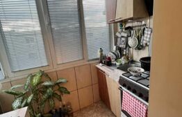 Apartament cu 2 camere, 53 mp, decomandat, Paltinis