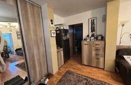 Apartament cu 2 camere, 53 mp, decomandat, Paltinis