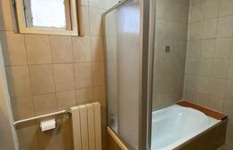 Casa individuala 5 camere, 190 mp,central, zona Rudului