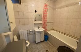 Casa individuala 5 camere, 190 mp,central, zona Rudului