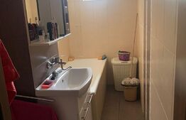 Apartament 2 camere, semidecomandat, Vest