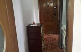 Apartament 2 camere, semidecomandat, Vest