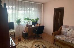 Apartament 2 camere, semidecomandat, Vest