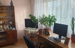 Apartament 2 camere, semidecomandat, Vest