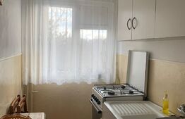 Apartament 2 camere, semidecomandat, Vest