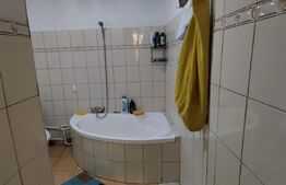 Casa individuala 5 camere, 198 mp,  250 mp teren, langa Parc