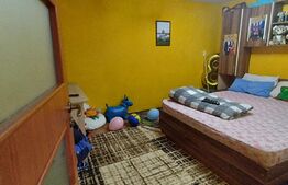 Casa individuala 5 camere, 198 mp,  250 mp teren, langa Parc