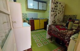 Casa individuala 5 camere, 198 mp,  250 mp teren, langa Parc