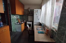 Casa individuala 5 camere, 198 mp,  250 mp teren, langa Parc