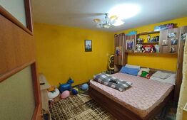 Casa individuala 5 camere, 198 mp,  250 mp teren, langa Parc