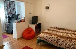 Apartament cu 2 camere decomandat 55mp, Vest