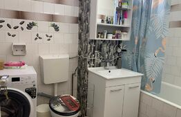 Apartament cu 2 camere decomandat 55mp, Vest