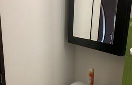 Apartament 2 camere, decomandat, Democratiei