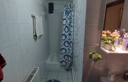 Casa individuala 7 camere, 300 mp, 330 mp teren, central