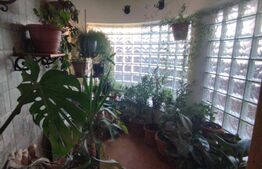 Casa individuala 7 camere, 300 mp, 330 mp teren, central