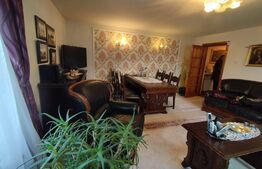 Casa individuala 7 camere, 300 mp, 330 mp teren, central