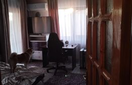 Casa individuala 7 camere, 300 mp, 330 mp teren, central