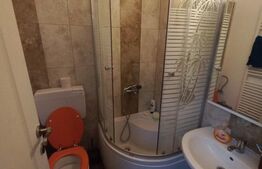 Apartament in vila, 4 camere, 87 mp, teren 80 mp, ultracentral