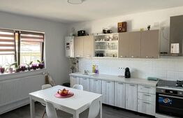 Casa individuala, 2 camere, 175mp, Strejnicu