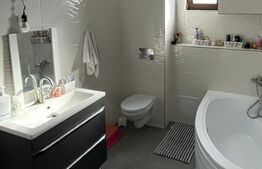 Casa individuala, 2 camere, 175mp, Strejnicu