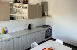 Casa individuala, 2 camere, 175mp, Strejnicu