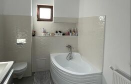 Casa individuala, 2 camere, 175mp, Strejnicu