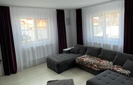 Casa individuala, 2 camere, 175mp, Strejnicu