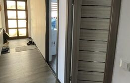 Casa individuala, 2 camere, 175mp, Strejnicu