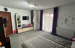 Casa individuala, 5 camere, 250mp, 530teren, Strejnicu