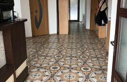 Casa individuala, 5 camere, 250mp, 530teren, Strejnicu