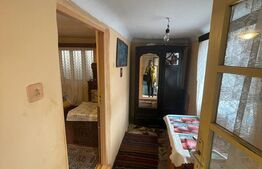 Casa individuala, 5 camere, 850mp, Strejnicu