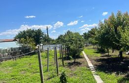 Casa individuala 4 camere, teren 800mp, Pietrosani