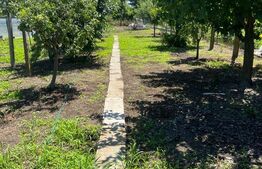 Casa individuala 4 camere, teren 800mp, Pietrosani