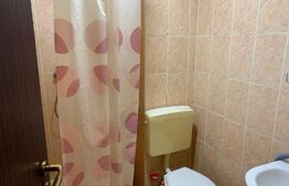 Garsoniera 22mp, Mihai Bravu