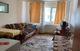 Garsoniera 22mp, Mihai Bravu