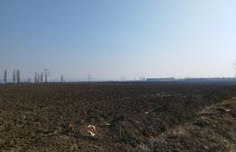 Teren 10000mp, 38ml deschidere, Berceni