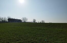 Teren 12223mp, deschidere 27mp, intravilan, Berceni