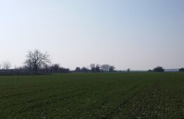 Teren 12223mp, deschidere 27mp, intravilan, Berceni