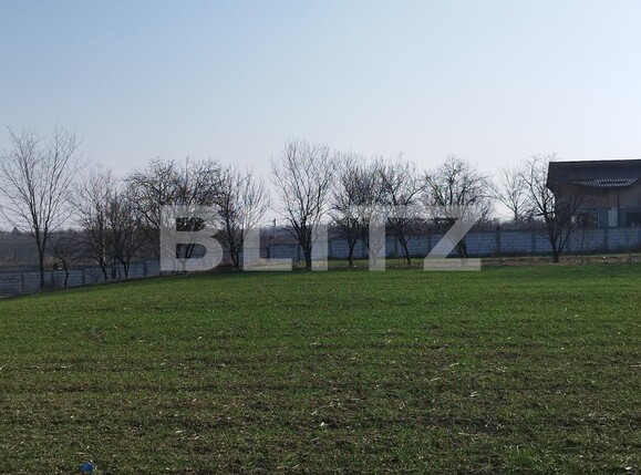 Teren de vânzare Exterior Est - 110411TV | BLITZ Ploieşti | Poza6