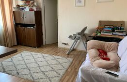 Apartament 2 camere 40mp semi-decomandat, Vest