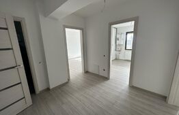 Apartament 2 camere, 90mp, Mihai Bravu