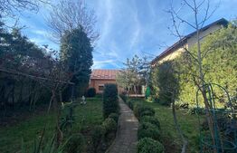 Casa individuala 7 camere, 290mp, teren 1100mp, zona centrala