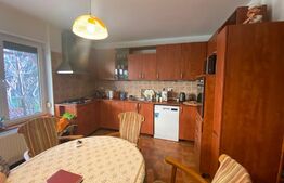 Casa individuala 7 camere, 290mp, teren 1100mp, zona centrala