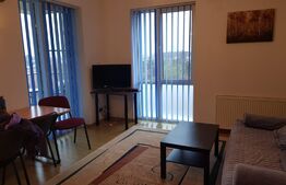 Apartament 2 camere, 38mp, zona Est