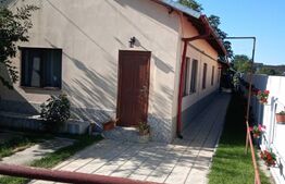 Duplex 3 camere , 111mp, teren 500mp, Strejnic