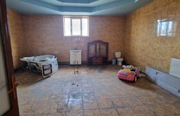 Vila individuala 11 camere, spatiu util 1610mp, teren 3930mp