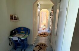 Apartament 3 camere decomandat, Cartier Paltinis