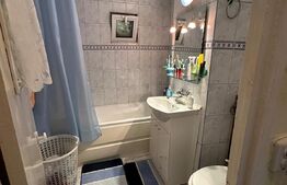 Apartament 3 camere decomandat, Cartier Paltinis