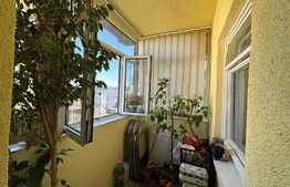 Apartament 3 camere decomandat, Cartier Paltinis