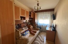 Apartament 3 camere decomandat, Cartier Paltinis